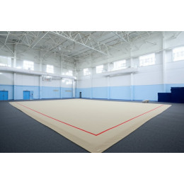 Тренировочный ковер 11х11м (материал Россия)