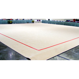 Гимнастический ковер 11х11м